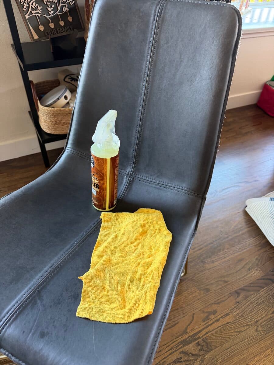 Leather Furniture Care